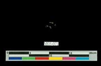 藏品(藍寶石)的圖片